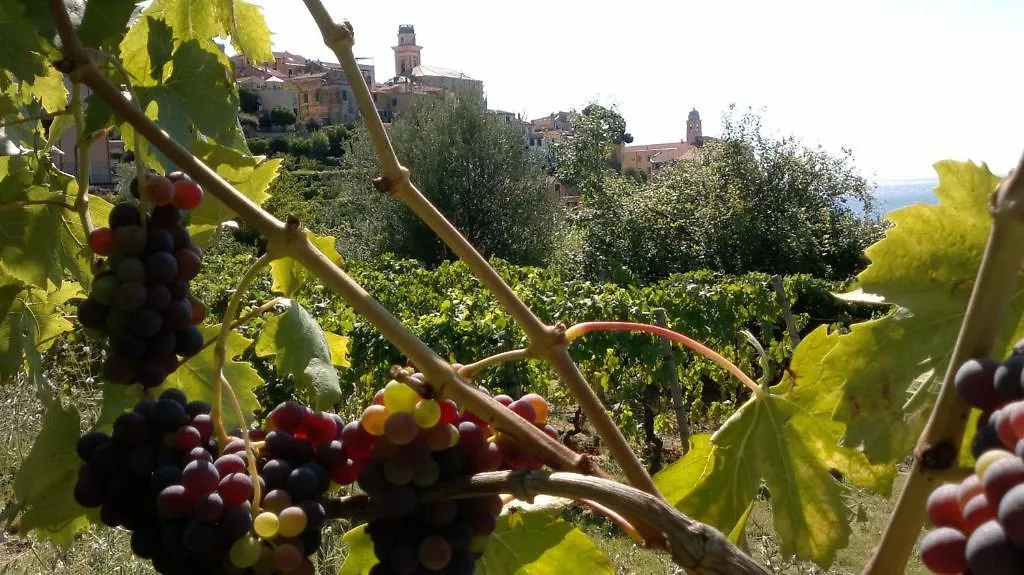B&B Ca' De Pippu Diano Castello Farm stay