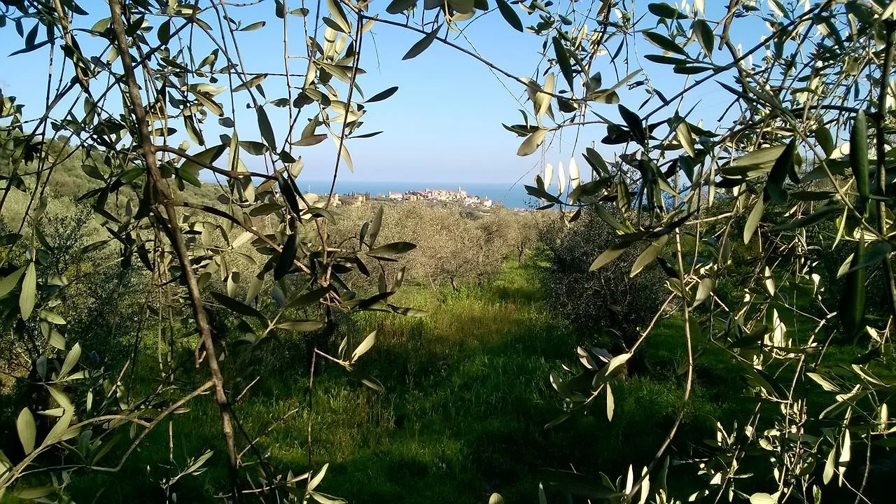 B&B Ca' De Pippu Diano Castello 0*,